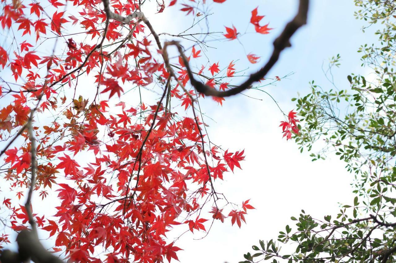 Ryokan Tanoya เกียวโต ภายนอก รูปภาพ