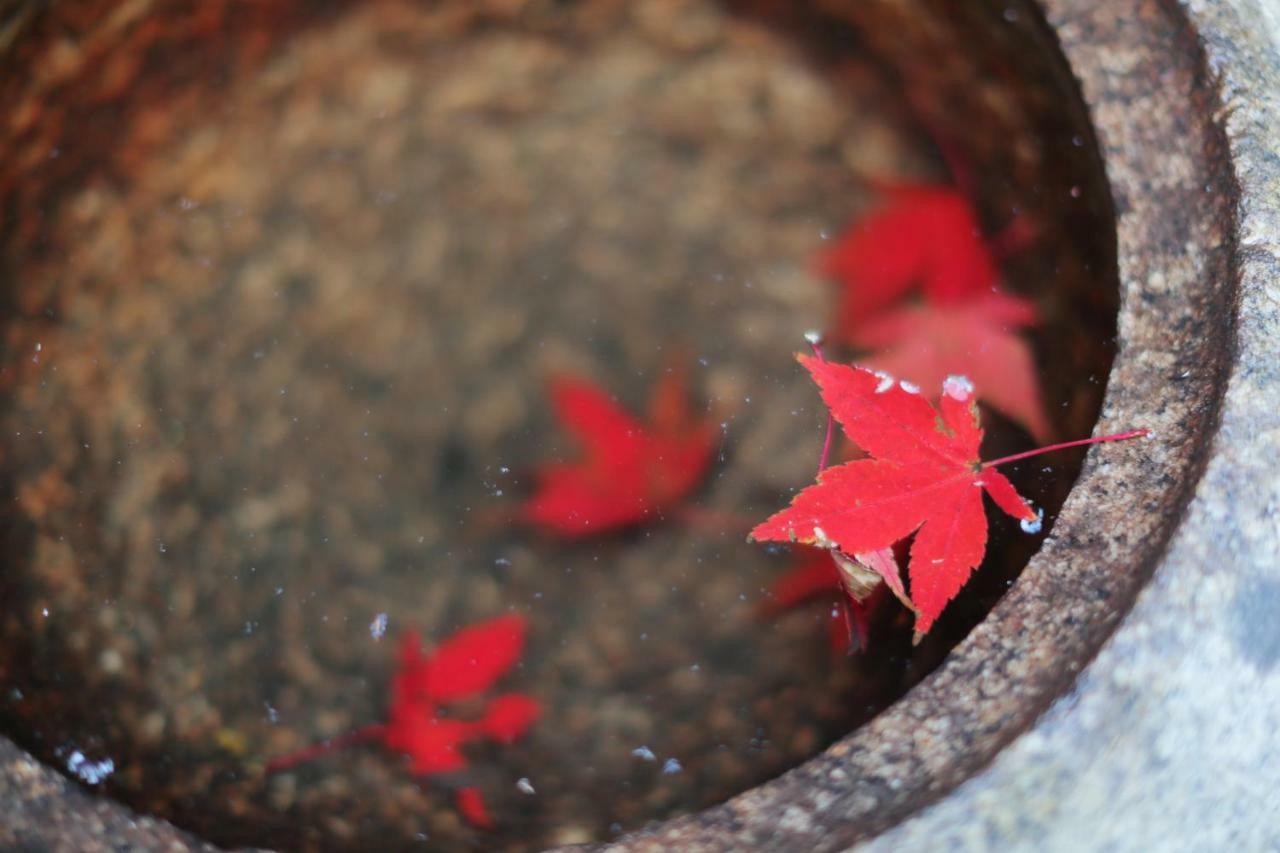Ryokan Tanoya เกียวโต ภายนอก รูปภาพ